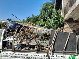 Demolition Debris Removal in Circle Pines, MN